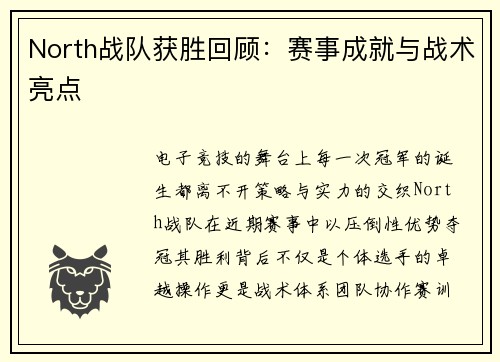 North战队获胜回顾：赛事成就与战术亮点